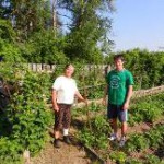 6 6